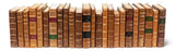 Library Luxe Brown Faux Leather Books (Set of 24) - Ornate Home