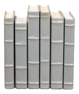 Library Luxe Grey Books (Set of 12) - Ornate Home