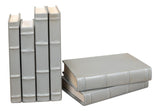 Library Luxe Grey Books (Set of 12) - Ornate Home
