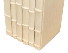 Library Luxe Ivory Books (Set of 12) - Ornate Home