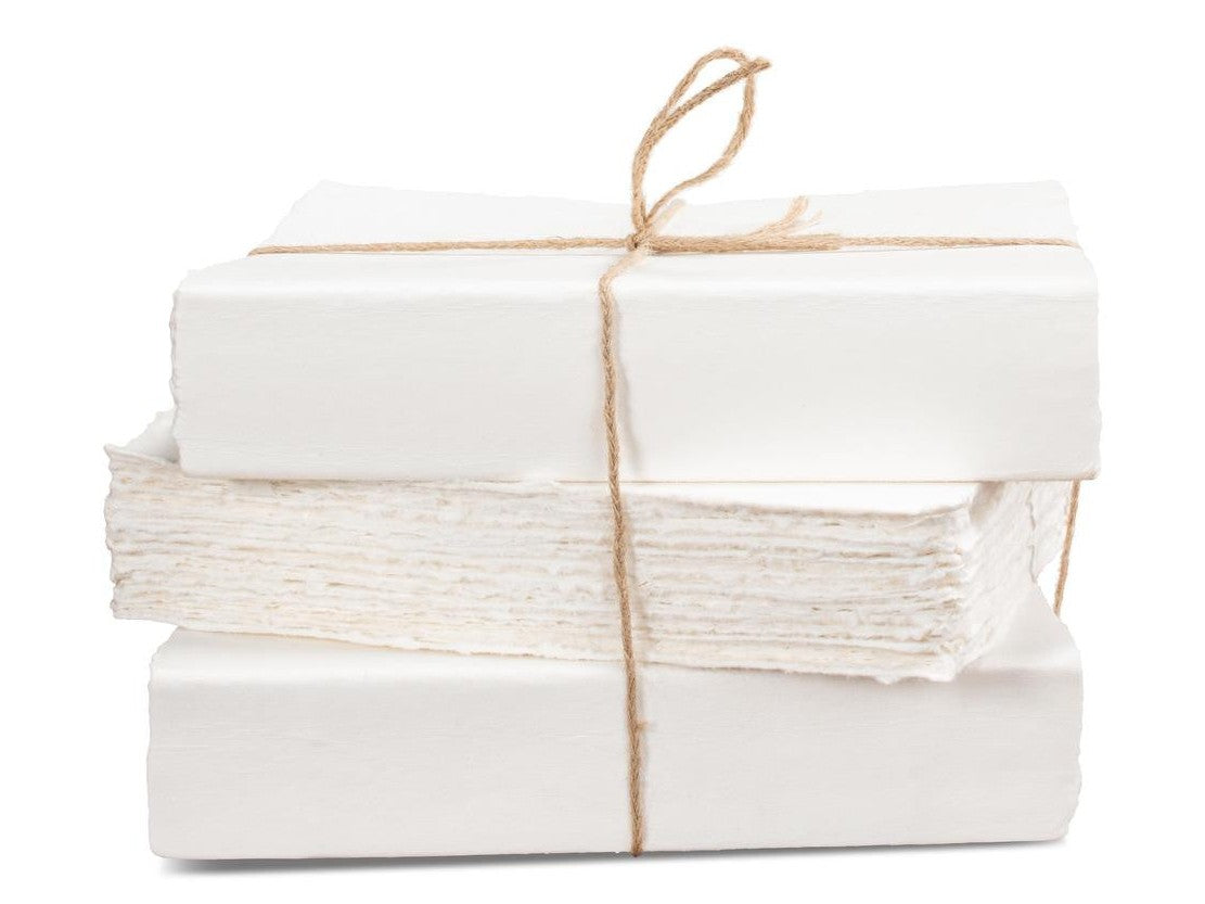 Library Luxe Ivory Books (Set of 6) - Ornate Home