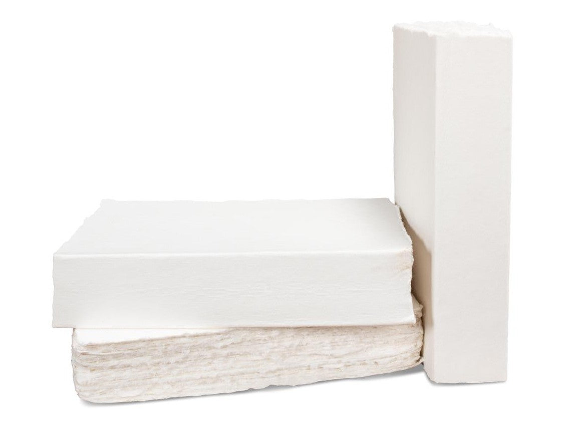 Library Luxe Ivory Books (Set of 6) - Ornate Home