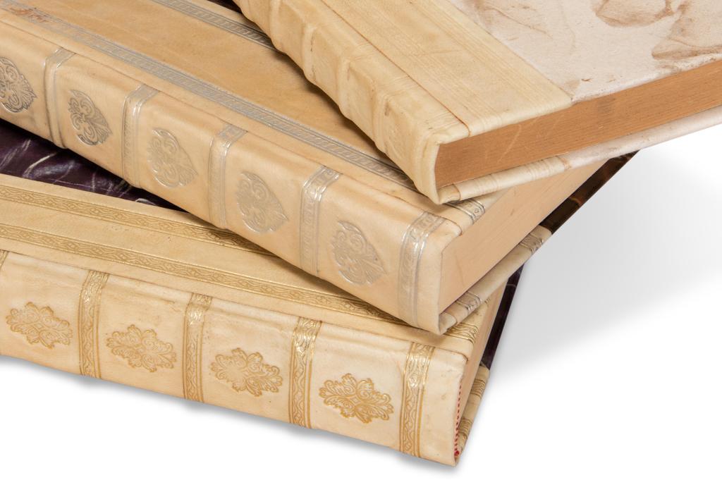 Library Luxe Ivory Leather & Paper Books (Set of 24) - Ornate Home