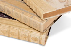 Library Luxe Ivory Leather & Paper Books (Set of 24) - Ornate Home