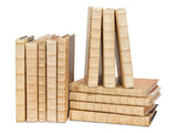 Library Luxe Ivory Leather & Paper Books (Set of 24) - Ornate Home