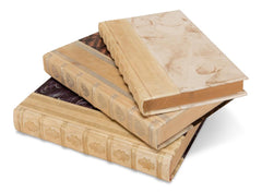 Library Luxe Ivory Leather & Paper Books (Set of 24) - Ornate Home