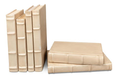 Library Luxe White Books (Set of 12) - Ornate Home
