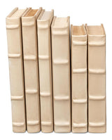 Library Luxe White Books (Set of 12) - Ornate Home
