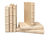 Library Luxe White Books (Set of 12) - Ornate Home