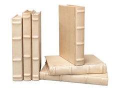 Library Luxe White Books (Set of 12) - Ornate Home