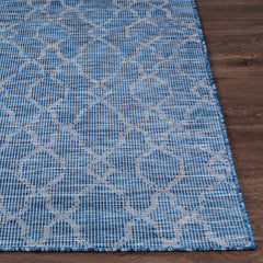 Lidlington Flatweave Outdoor Area Carpet - Clearance - Ornate Home