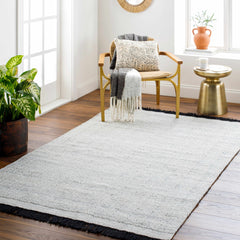 Light Gray Anane Area Rug - Clearance - Ornate Home