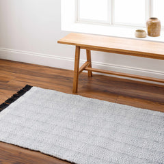 Light Gray Anane Area Rug - Clearance - Ornate Home