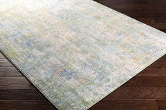 Lightwater Outdoor Area Rug - Ornate Home