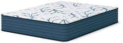 Limited Edition Firm 3.0 White Queen Mattress - Ornate Home