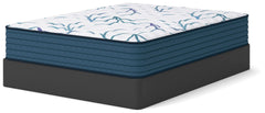 Limited Edition Firm 3.0 White Queen Mattress - Ornate Home