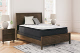 Limited Edition PT White King Mattress - Ornate Home