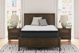 Limited Edition PT White Twin Mattress - Ornate Home