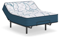 Limited Edition Plush 3.0 White Queen Mattress - Ornate Home