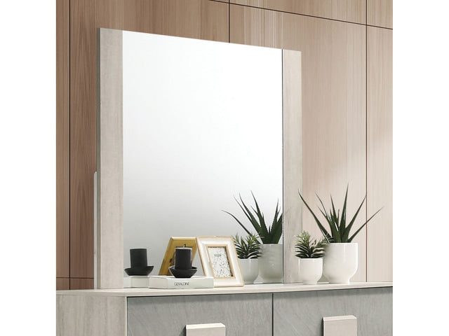 Lincolt Whitewash/Stone Gray Mirror - Ornate Home