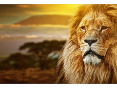 Lion Safari Tempered Glass w / Foil Wall Art - Ornate Home
