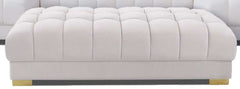 Lipa Velvet Ottoman - Ornate Home