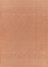 Lisarow Flatweave Outdoor Area Carpet - Clearance - Ornate Home