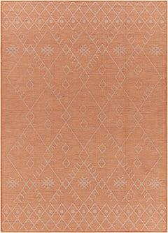 Lisarow Flatweave Outdoor Area Carpet - Clearance - Ornate Home