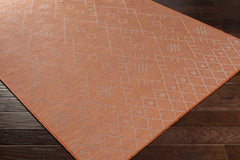 Lisarow Flatweave Outdoor Area Carpet - Clearance - Ornate Home