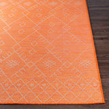 Lisarow Flatweave Outdoor Area Carpet - Clearance - Ornate Home