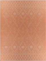 Lisarow Flatweave Outdoor Area Carpet - Clearance - Ornate Home