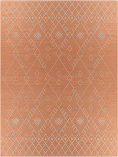 Lisarow Flatweave Outdoor Area Carpet - Clearance - Ornate Home