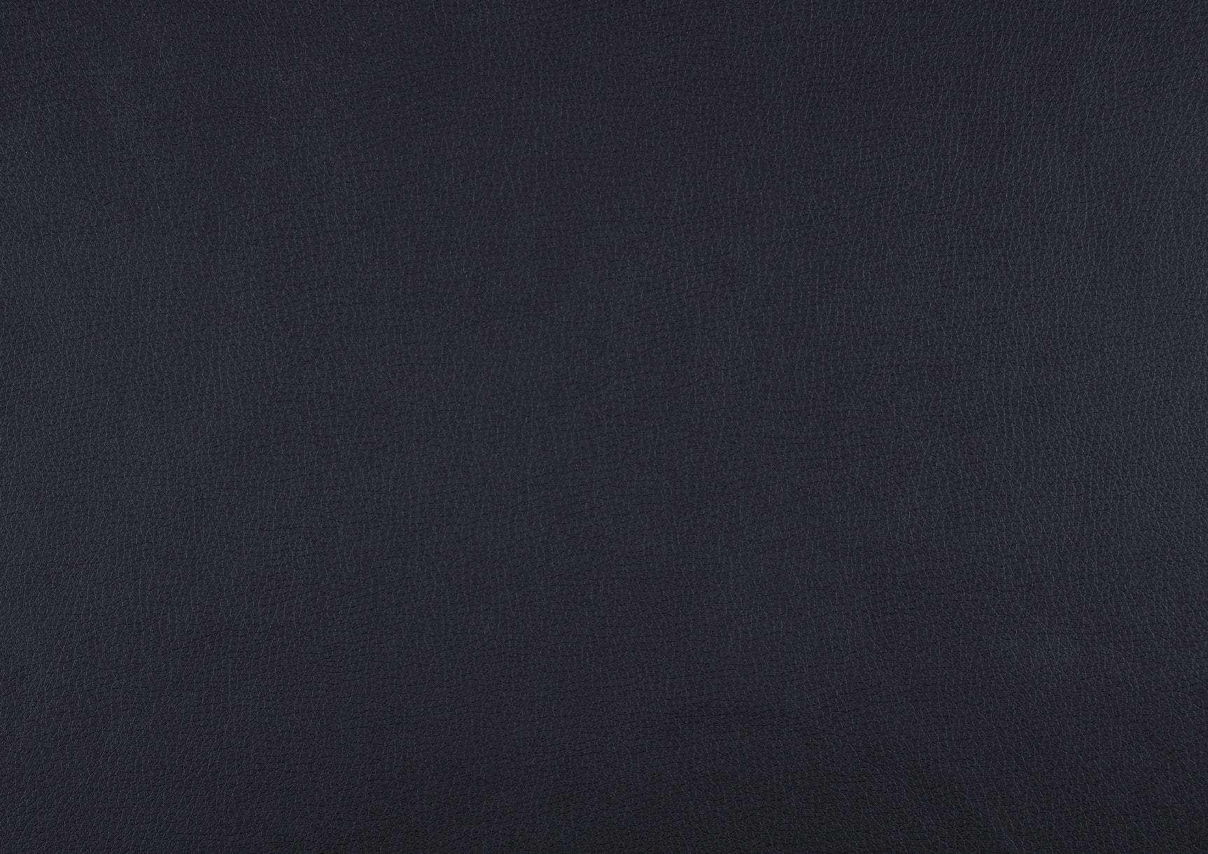 Littleton Blue Double Reclining Loveseat - Ornate Home