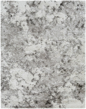 Livabliss Alta Shag Machine Woven Surya ASG-2304 Area Rug - Ornate Home