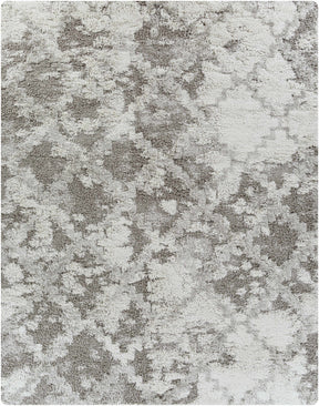 Livabliss Alta Shag Machine Woven Surya ASG-2305 Area Rug - Ornate Home