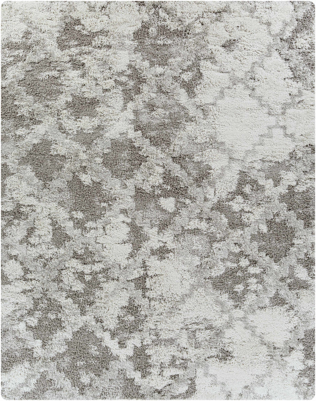 Livabliss Alta Shag Machine Woven Surya ASG-2305 Area Rug - Ornate Home