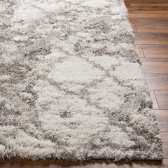 Livabliss Alta Shag Machine Woven Surya ASG-2305 Area Rug - Ornate Home