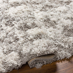 Livabliss Alta Shag Machine Woven Surya ASG-2305 Area Rug - Ornate Home
