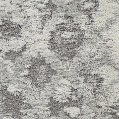 Livabliss Alta Shag Machine Woven Surya ASG-2305 Area Rug - Ornate Home