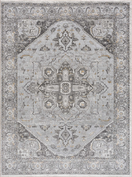 Liverpool Light Gray Area Rug - Clearance - Ornate Home