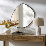 Lochovice Black Distressed Wood Mirror - Ornate Home