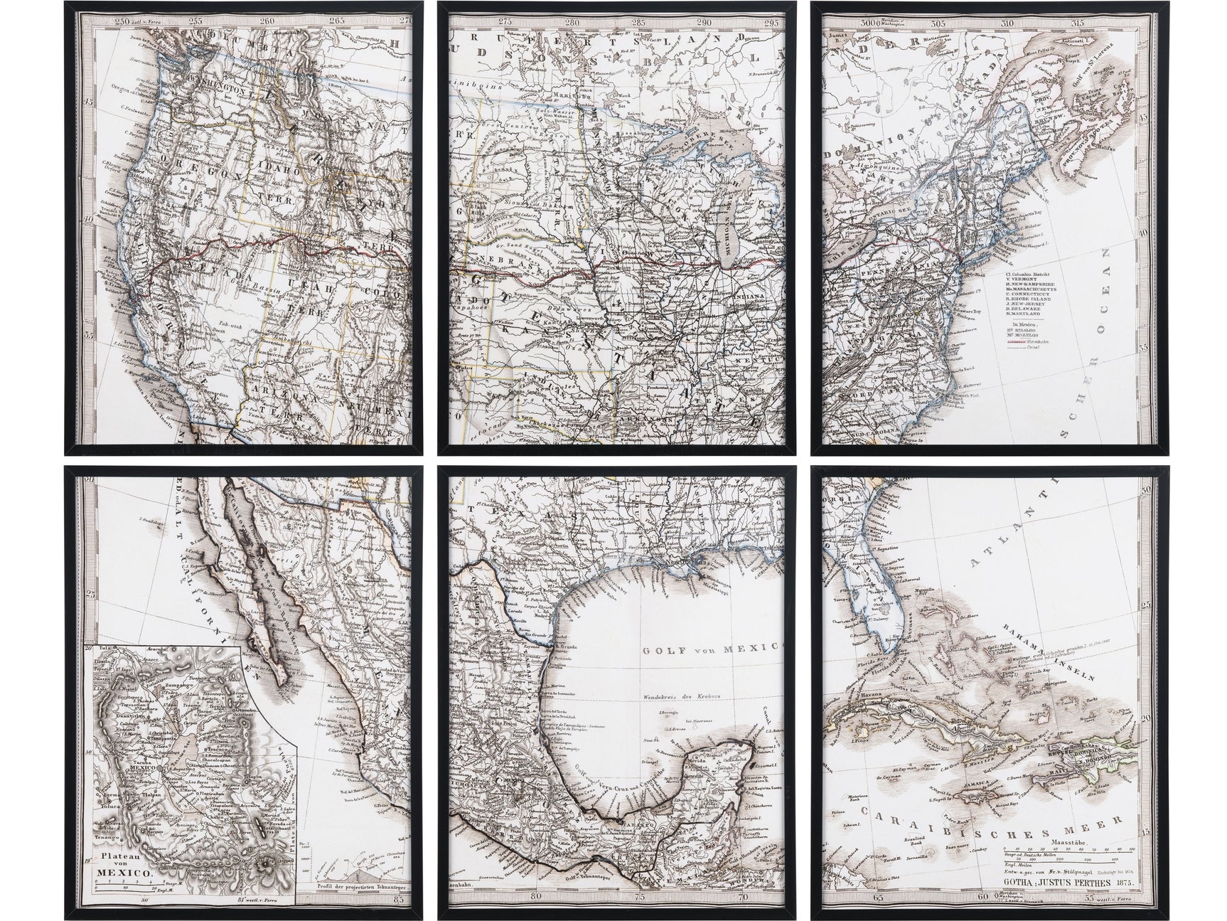 Logan'S Atlas Brown Canvas