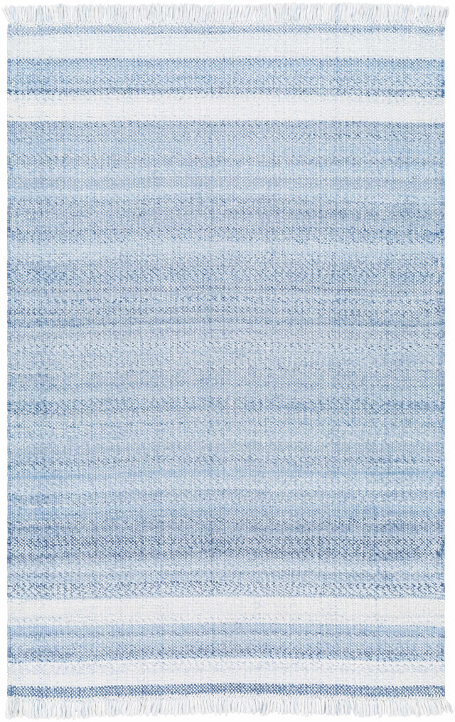 Loic Silver Blue Area Rug - Ornate Home