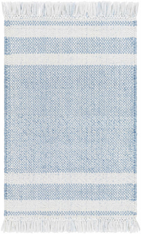 Loic Silver Blue Area Rug - Ornate Home