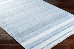 Loic Silver Blue Area Rug - Ornate Home