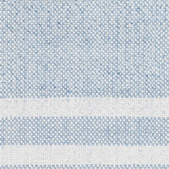 Loic Silver Blue Area Rug - Ornate Home