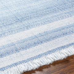 Loic Silver Blue Area Rug - Ornate Home