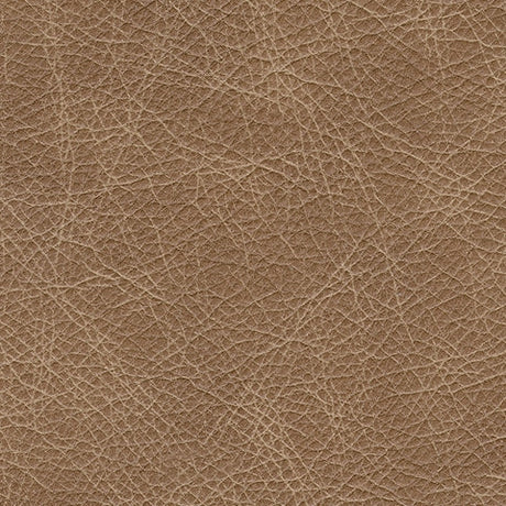 Lombardia Tumbleweed Loveseat - Ornate Home