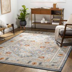 Looc Area Rug - Clearance - Ornate Home