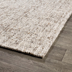 Loomis Ivory/Natural 10'x14' Rug
